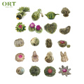 Chinese high quality handmade green tea base blooming tea balls